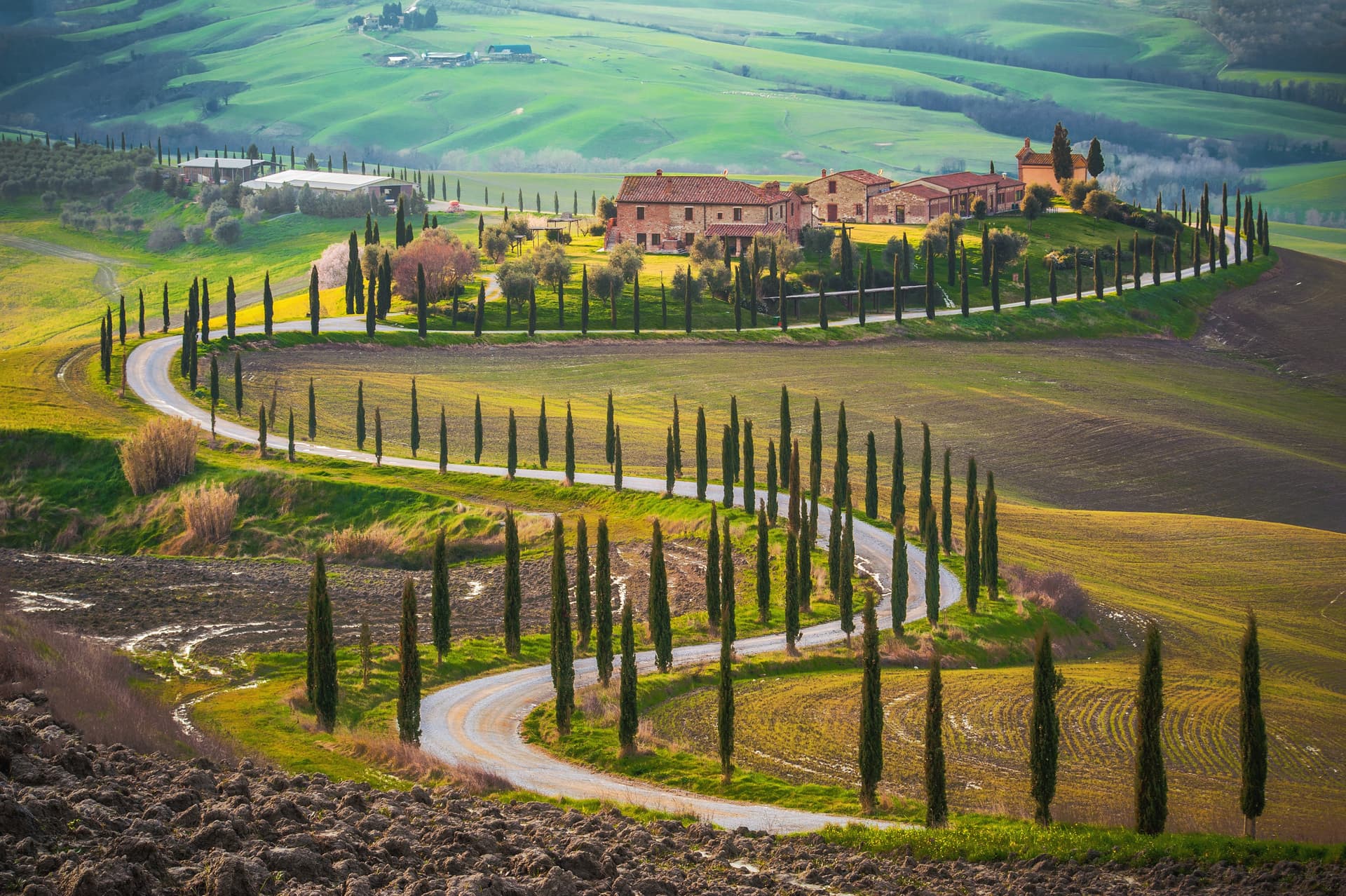 Italia on a Plate: Wine and Dine Across Milan, Venice, Florence, and Rome