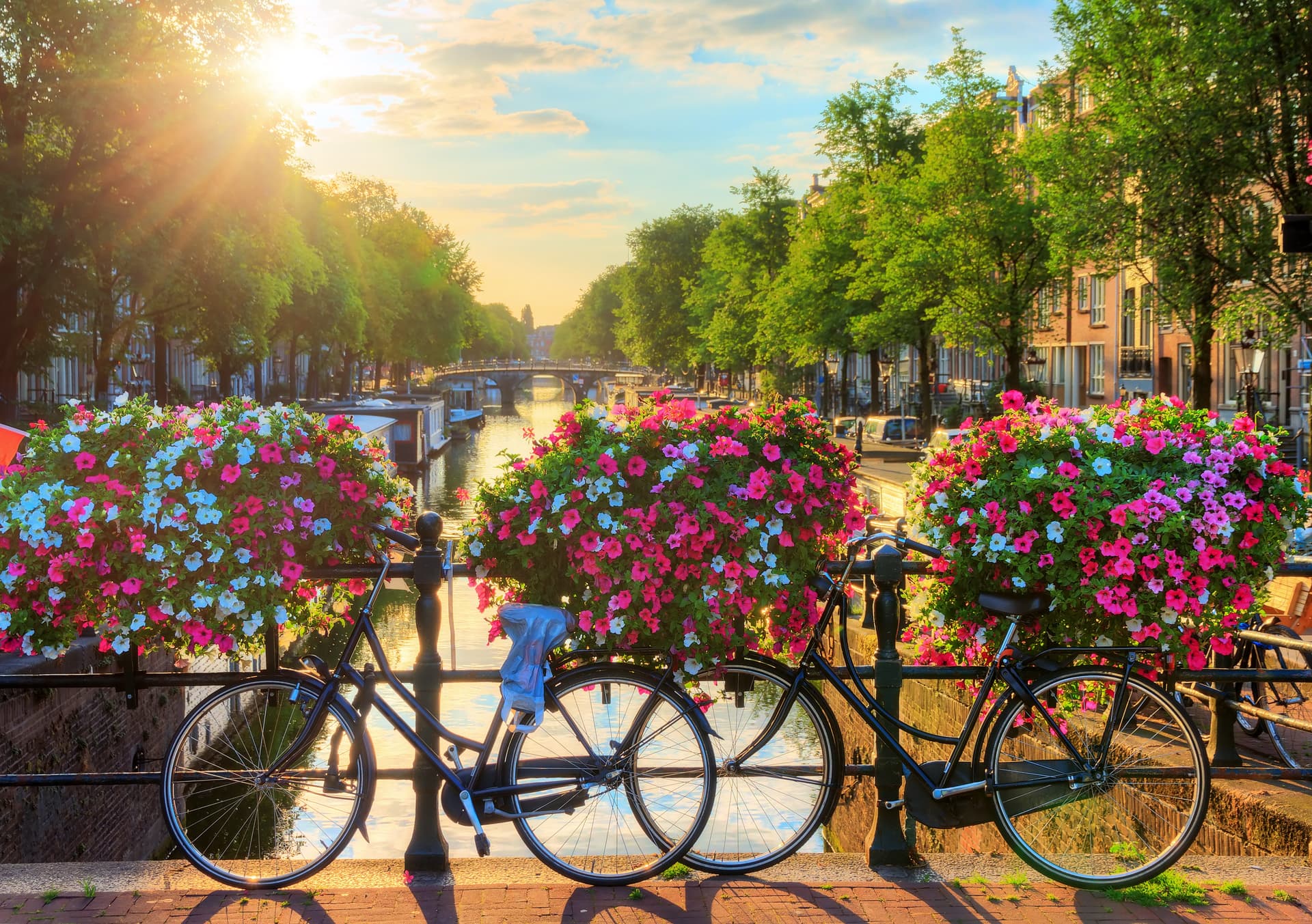 Canals, Spires & City Lights: Amsterdam to Paris