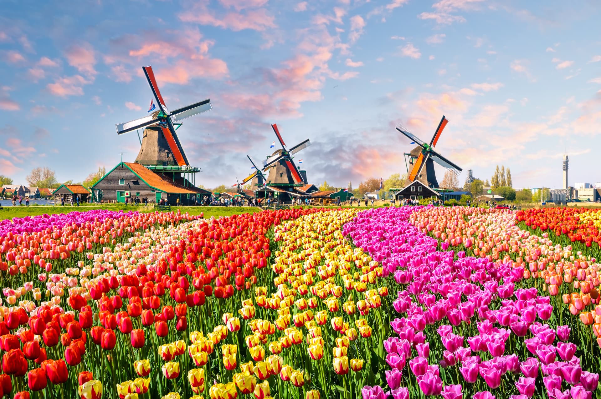 The Scenes We Knew by Heart: Amsterdam, Paris & the Swiss Alps