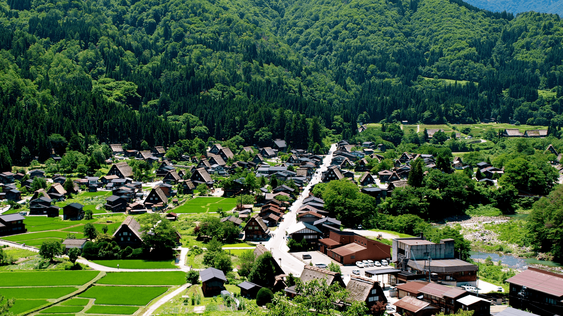 継ぐ Tsugu: Japan, Carried Forward
